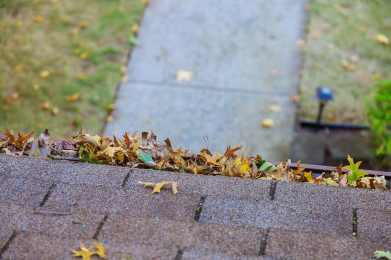 Comprehensive Gutter Cleaning Services
